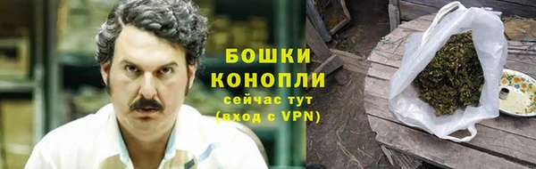 spice Няндома