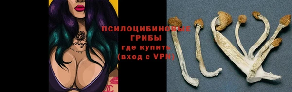 spice Няндома