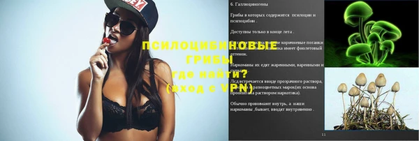 spice Няндома
