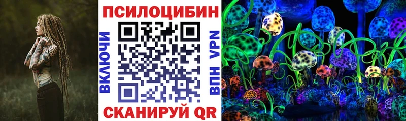 закладки  Спасск  Галлюциногенные грибы Cubensis 